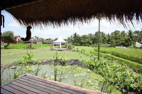 Hidden Yone Village हॉलिडे पार्क Ubud (Bali)